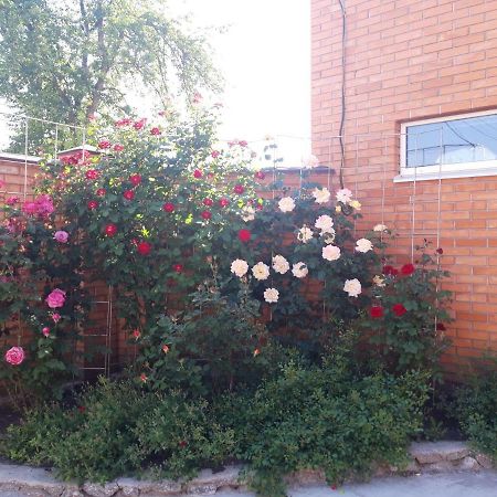 Квартира-Студия В Г. Кропивницком Kropywnyzkyj Exterior foto